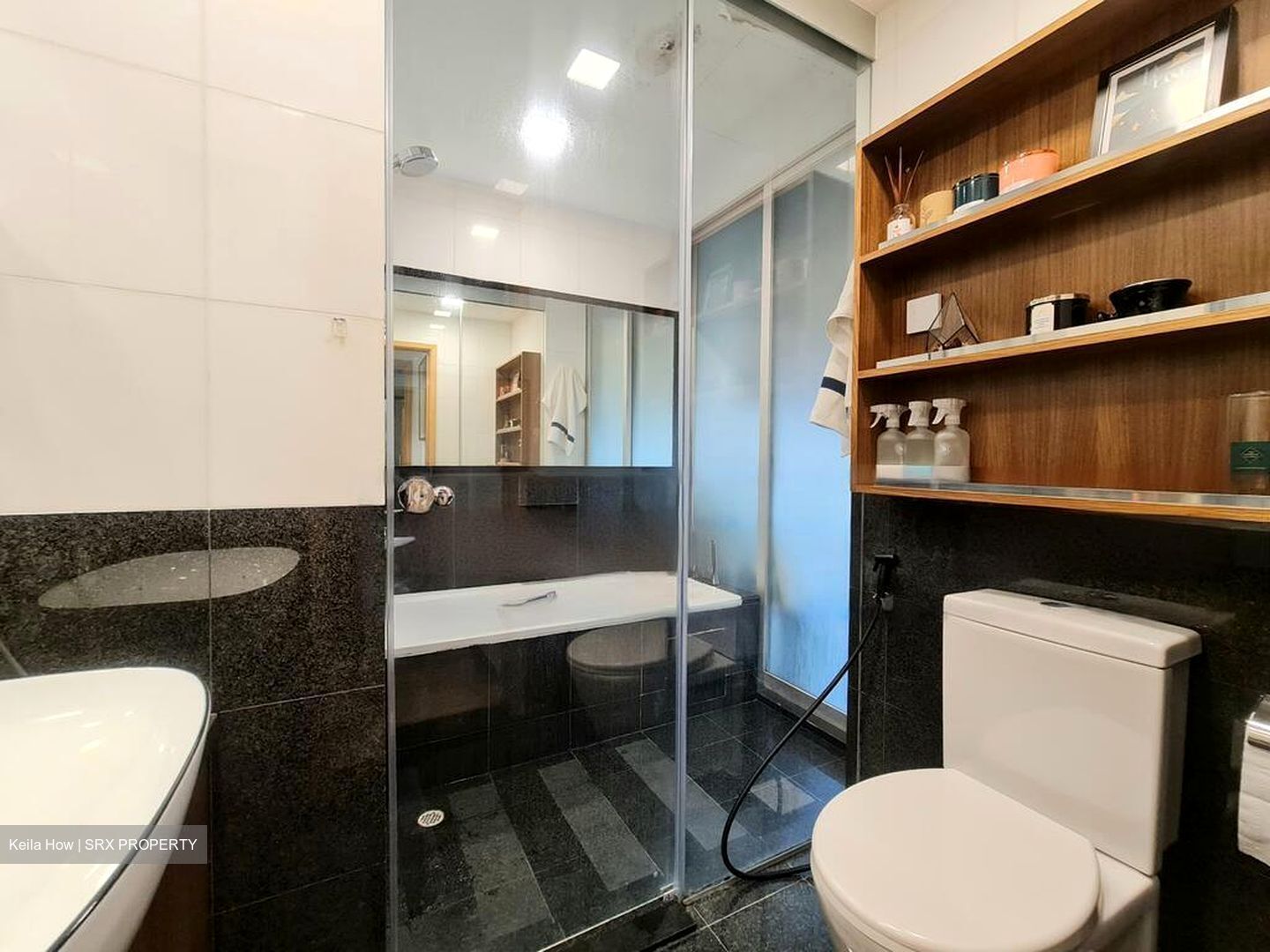The Levelz (D10), Condominium #477282461